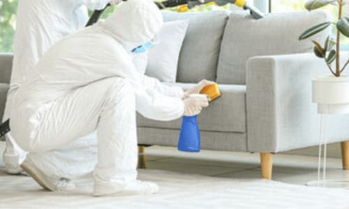 disinfestatore opera sul divano di un salotto
