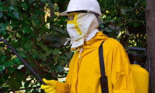 disinfestatore in divisa opera all'esterno