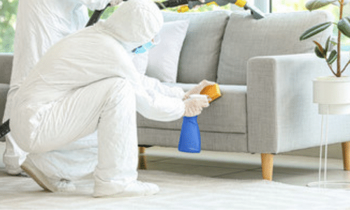 disinfestatore opera sul divano di un salotto