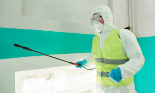 disinfestatore vestito in divisa con gilet catarifrangente con attrezzo per disinfestare